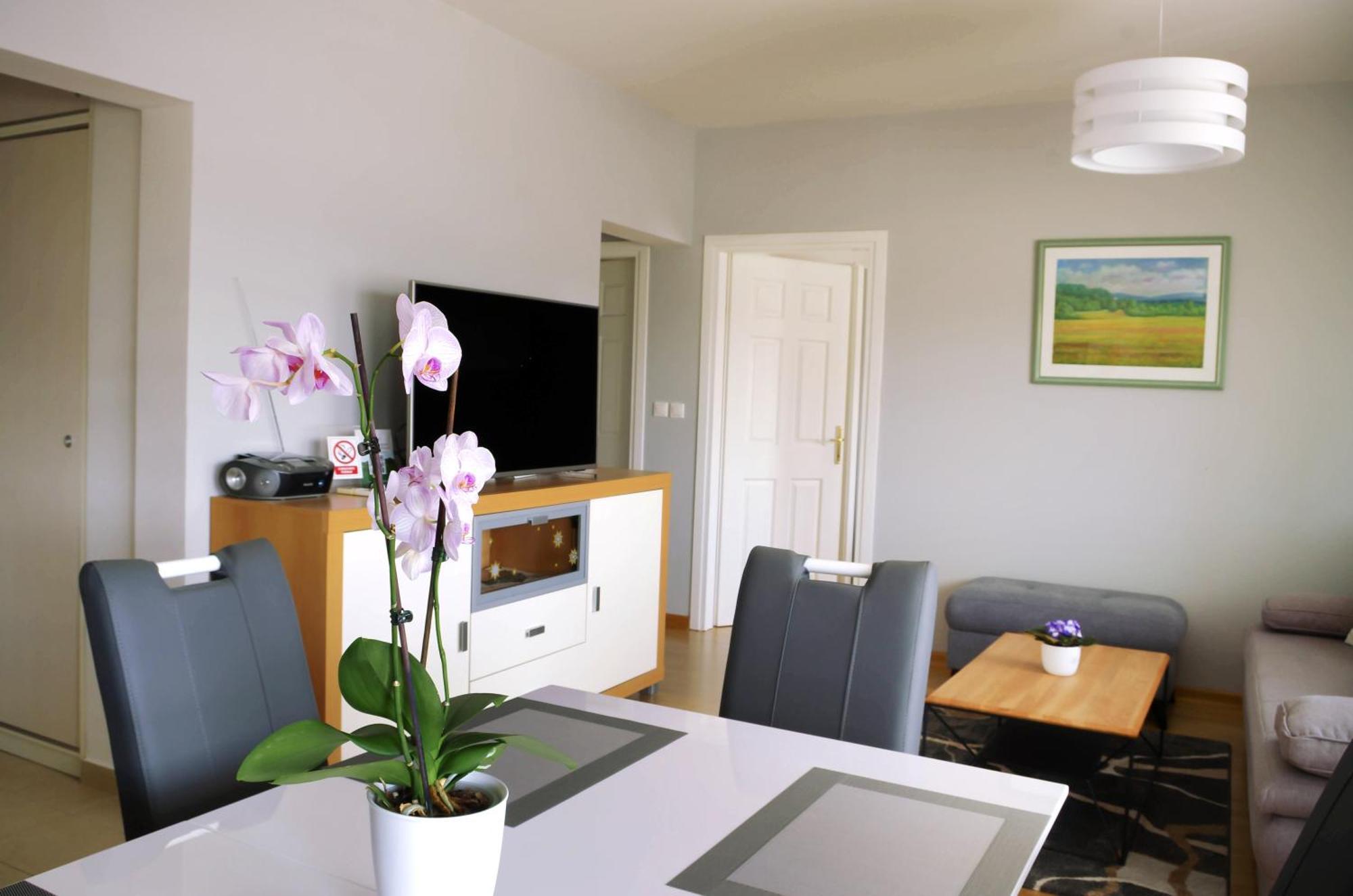 Apartman Dada Krapinske Toplice Exterior foto
